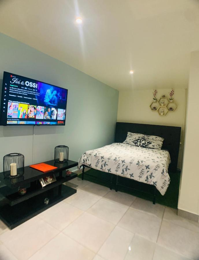 גוסאינוויל Appartement Cosy Proche Roissy Cdg Asterix Disneyland Paris מראה חיצוני תמונה