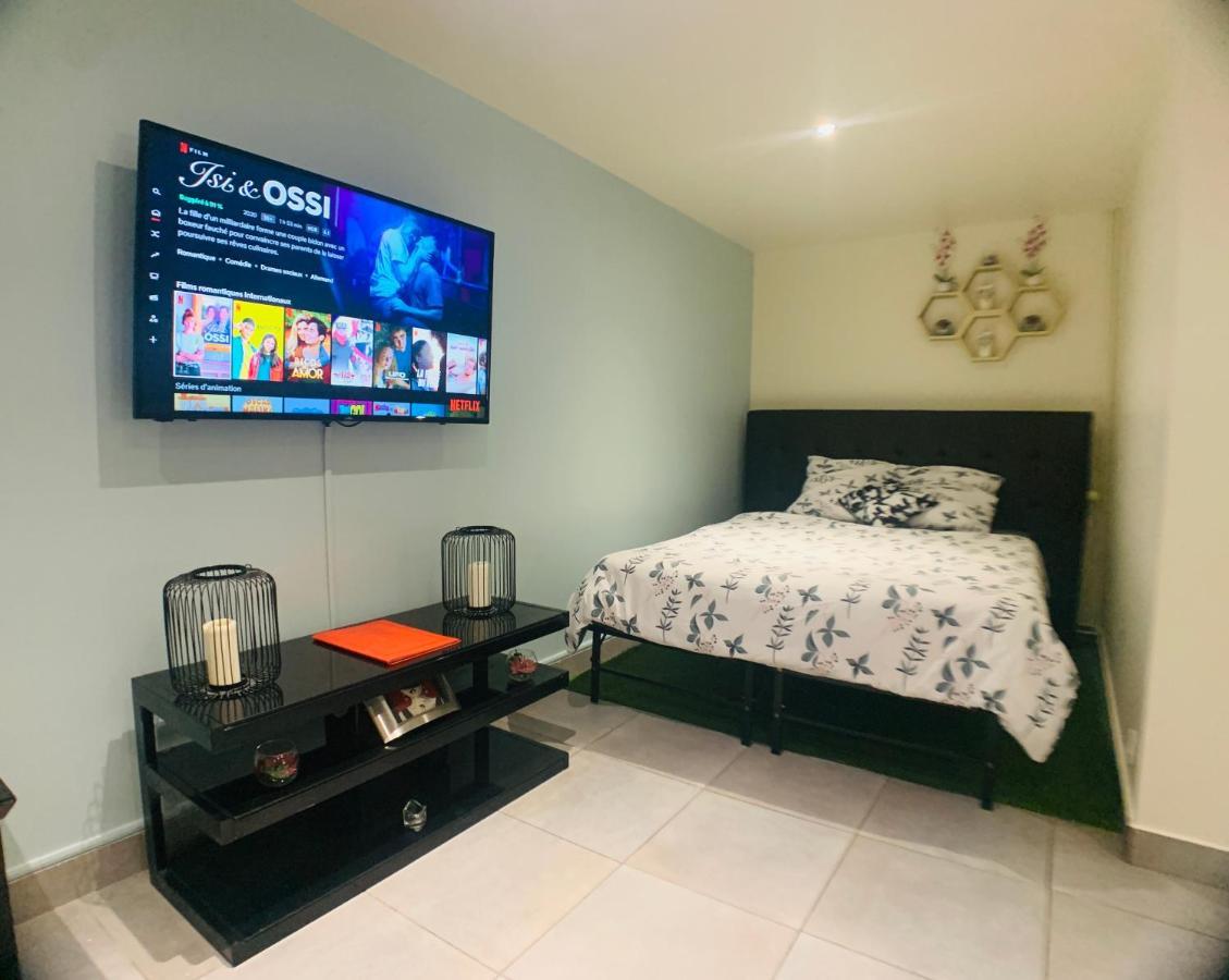 גוסאינוויל Appartement Cosy Proche Roissy Cdg Asterix Disneyland Paris מראה חיצוני תמונה